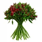 Business 7 image FLOWERS & PLANTS CO. Wedding Services in London Gr