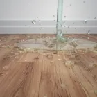 Business 6 image FLYING START MARJON Day Nurseries in Plymouth De