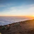 Business 2 image FOLLOW ALICE Travel Agents in London Gr