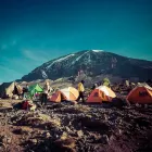 Business 3 image FOLLOW ALICE Travel Agents in London Gr