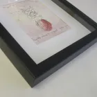 Business 1 image FORTIS LAW Legal Services in Brighton Ea