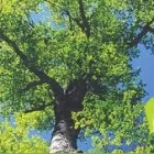 Business 1 image FOSSE DATA SYSTEMS LTD Printers & Lithographers in Rugby Wa