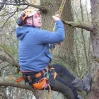 Business 1 image G MURRAY TREE SURGEONS Tree Services in Liverpool Me