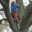 Business 4 image G MURRAY TREE SURGEONS Tree Services in Liverpool Me