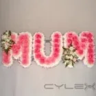 Business 14 image GAILS FLORIST Shopping & Retail in Birkenhead Me