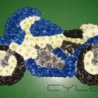 Business 16 image GAILS FLORIST Shopping & Retail in Birkenhead Me