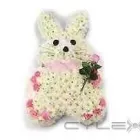 Business 23 image GAILS FLORIST Shopping & Retail in Birkenhead Me