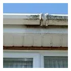 Business 5 image GCS GUTTER CLEANING SPECIALISTS Gutter & Downspout Installation & Repair in Croydon Gr