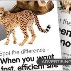 Business 5 image GENIX HEALTHCARE DENTAL CLINIC Dentists in Leeds We