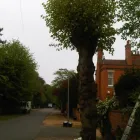 Business 36 image GG LANDSCAPES LTD Landscapers in Northampton No