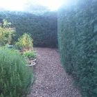 Business 37 image GG LANDSCAPES LTD Landscapers in Northampton No