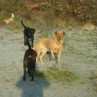 Business 1 image GIORGIO JEWELLERS Jewellers in London Gr