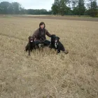 Business 3 image GIORGIO JEWELLERS Jewellers in London Gr