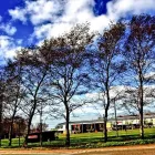 Business 3 image GOLD VIDEOGRAPHY Wedding Services in Belfast Co