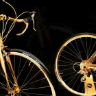 Business 2 image GOLDGENIE INTERNATIONAL LIMITED Wholesale Trade in London Gr