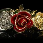 Business 4 image GOLDGENIE INTERNATIONAL LIMITED Wholesale Trade in London Gr