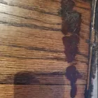 Business 10 image GORDON RICHARDSON FRENCH POLISHERS LTD Stair Builders in Newcastle Upon Tyne Ty