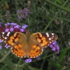 Business 12 image GRAEME WALKER CHARTERED TOWN PLANNER BA (HONS) BTP MRTPI Planning Consultants in London Gr