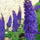 Business 2 image GRAEME WALKER CHARTERED TOWN PLANNER BA (HONS) BTP MRTPI Planning Consultants in London Gr