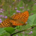 Business 7 image GRAEME WALKER CHARTERED TOWN PLANNER BA (HONS) BTP MRTPI Planning Consultants in London Gr