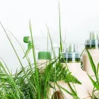 Business 1 image GREEN CLEAN HOVE Domestic Cleaning in Hove Ea