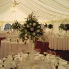 Business 13 image GREEN ON THE GREEN Shopping & Retail in Orpington Ke