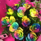 Business 20 image GREEN ON THE GREEN Shopping & Retail in Orpington Ke