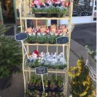 Business 21 image GREEN ON THE GREEN Shopping & Retail in Orpington Ke