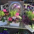 Business 22 image GREEN ON THE GREEN Shopping & Retail in Orpington Ke