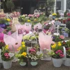 Business 25 image GREEN ON THE GREEN Shopping & Retail in Orpington Ke