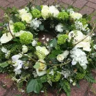 Business 46 image GREEN ON THE GREEN Shopping & Retail in Orpington Ke