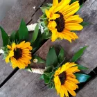 Business 49 image GREEN ON THE GREEN Shopping & Retail in Orpington Ke