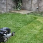 Business 4 image GSL GARDENING SERVICES Tree Services in London Gr