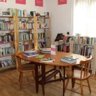 Business 5 image GUILD CARE - ROWLANDS ROAD CHARITY SHOP Pets & Animals in Worthing We