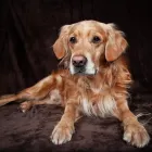 Business 17 image H2O PHOTO General Photographers in Plymouth De