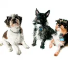 Business 18 image H2O PHOTO General Photographers in Plymouth De