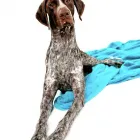 Business 2 image H2O PHOTO General Photographers in Plymouth De