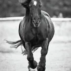 Business 6 image H2O PHOTO General Photographers in Plymouth De