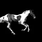 Business 7 image H2O PHOTO General Photographers in Plymouth De