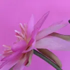 Business 3 image HAIR CREATIVE CUTTING UNISEX HAIRDRESSING Hairdressers in Leeds We