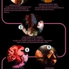 Business 1 image HANDMADE MYSTERIES Venues in Hove Ea