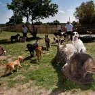 Business 1 image HARTLEYS Off Licences & Wine Merchants in Brighton Ea