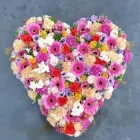 Business 1 image HAYFEVER FLOWERS Shopping & Retail in Hove Ea