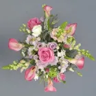 Business 2 image HAYFEVER FLOWERS Shopping & Retail in Hove Ea