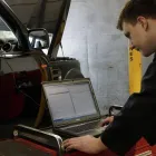 Business 1 image HAZELS HOUNDS Dog Walking in Northampton No