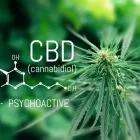 Business 1 image HEALTHISSIMO LTD Vitamin & Supplements Shops in Poole Do