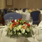 Business 16 image HILTON NOTTINGHAM HOTEL Hotels & Inns in Nottingham No