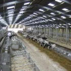 Business 3 image HITACHI CAMBRIDGE LABORATORY Laboratory Facilities & Services in Cambridge Ca