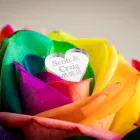 Business 54 image HOLIDAY INN DERBY - NOTTINGHAM M1, JCT.25, AN IHG HOTEL Wedding Venues in Nottingham No