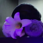 Business 49 image HOLIDAY INN NEWCASTLE - GOSFORTH PARK, AN IHG HOTEL Wedding Venues in Newcastle Upon Tyne Ty